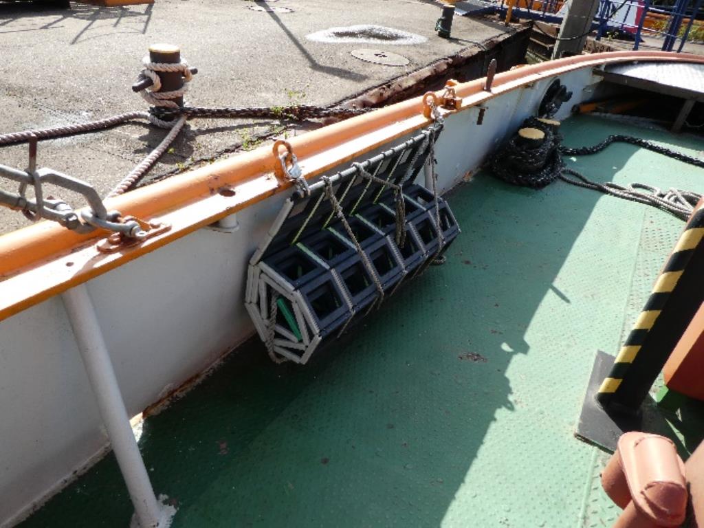 Hydraulikmotor Staffa + Mehrschalengreifer-13