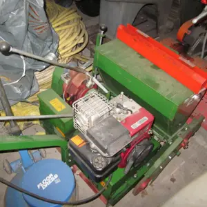 Lawn tree machine- Attention: Location 19230 Hagenow Sembdner RS60N