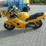 thumbnail-null-1