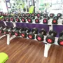 thumbnail-gepflegte Ausstattung eines Fitnessstudios <br>-8