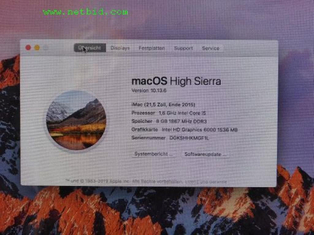 Construction machinery, utility vehicles, formwork material and miscellaneous hand tools <br>-3