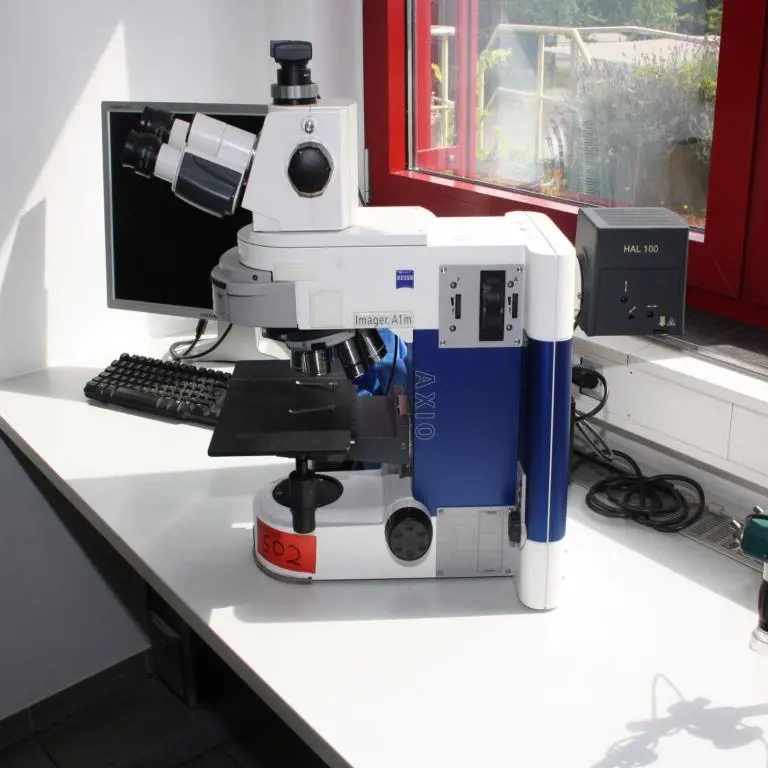 stereo microscope Zeiss