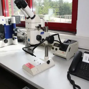 stereo microscope Zeiss Stemi SV 6