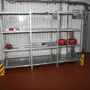 thumbnail-null-1
