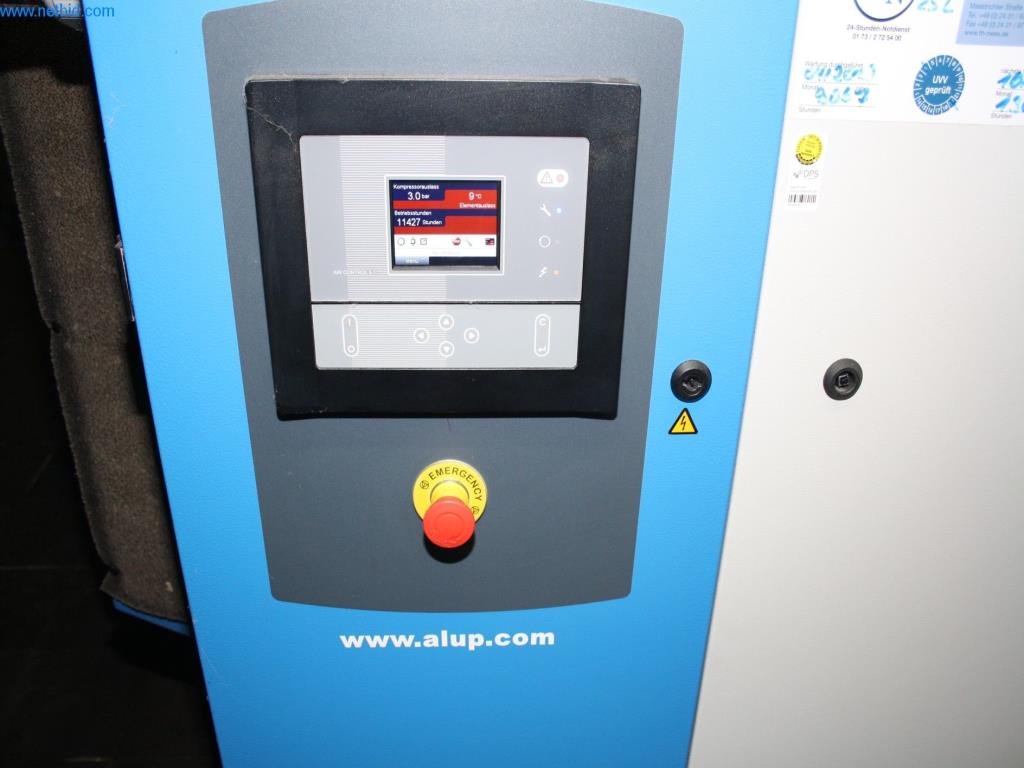 Panificação Kronenbrot - máquinas, instalações e equipamentos-3