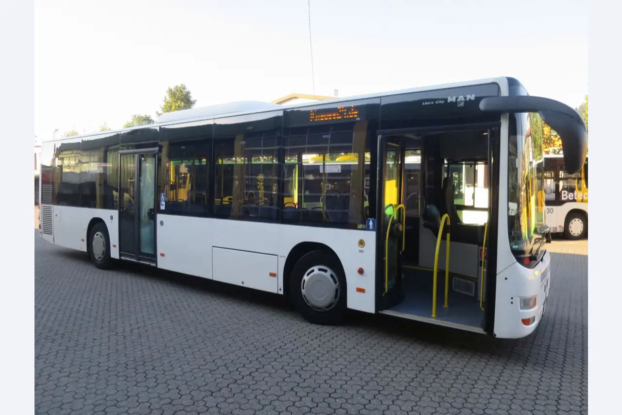 Ölkabinett, AU-Tester, Displayprüfgerät und Skikoffer für Busse-3