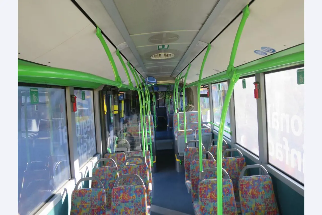 Ölkabinett, AU-Tester, Displayprüfgerät und Skikoffer für Busse-3