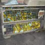 thumbnail-1 lot goods for load securing, 63 lashing chains-2