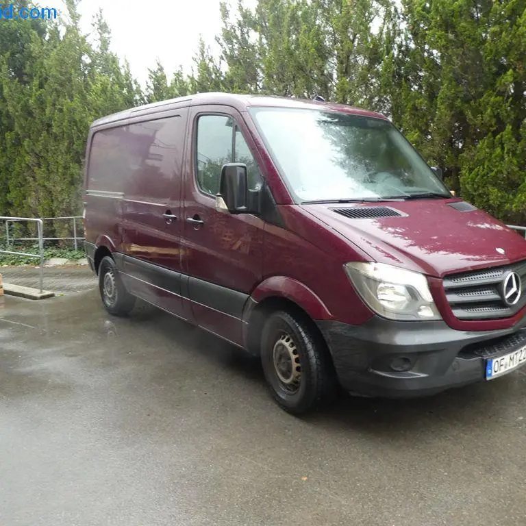 Transporter Mercedes-Benz Sprinter 313 CDi