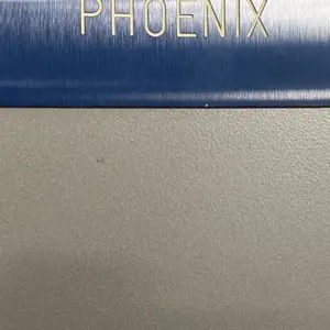 Phoenix electronics - not accessible during the viewing day