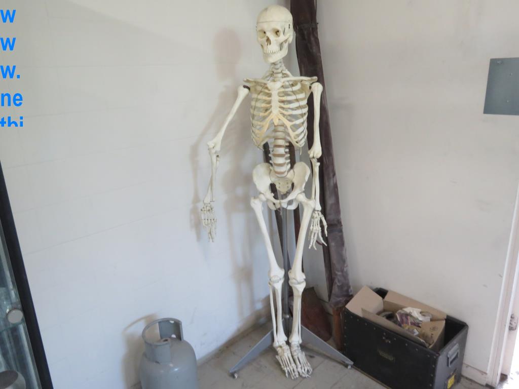 Acessórios para impressoras, peças sobressalentes e linhas de acabamento - 3º leilão-23