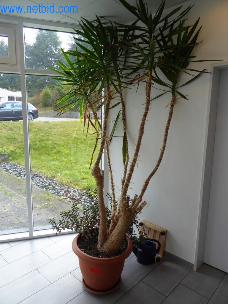 Řezací stroje, dílenské vybavení-3