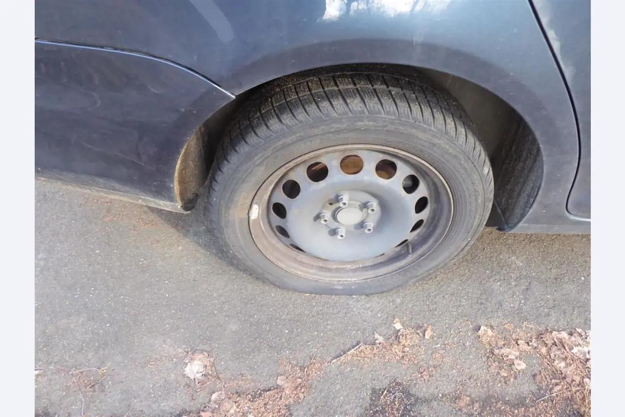 Impressão de ecrãs, produção de ecrãs, tratamento posterior de embalagens de cartão-16