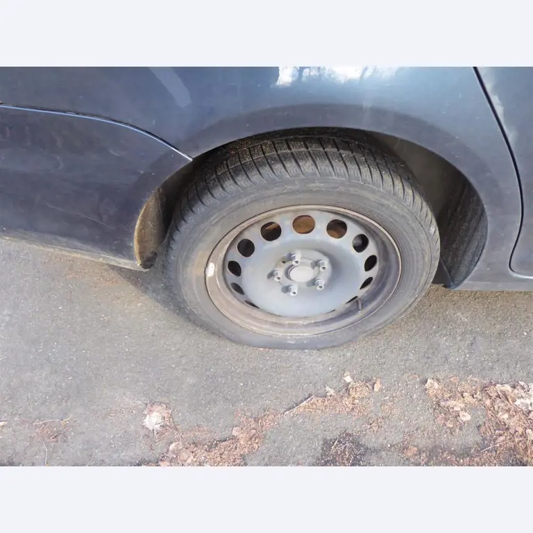 Impressão de ecrãs, produção de ecrãs, tratamento posterior de embalagens de cartão-16