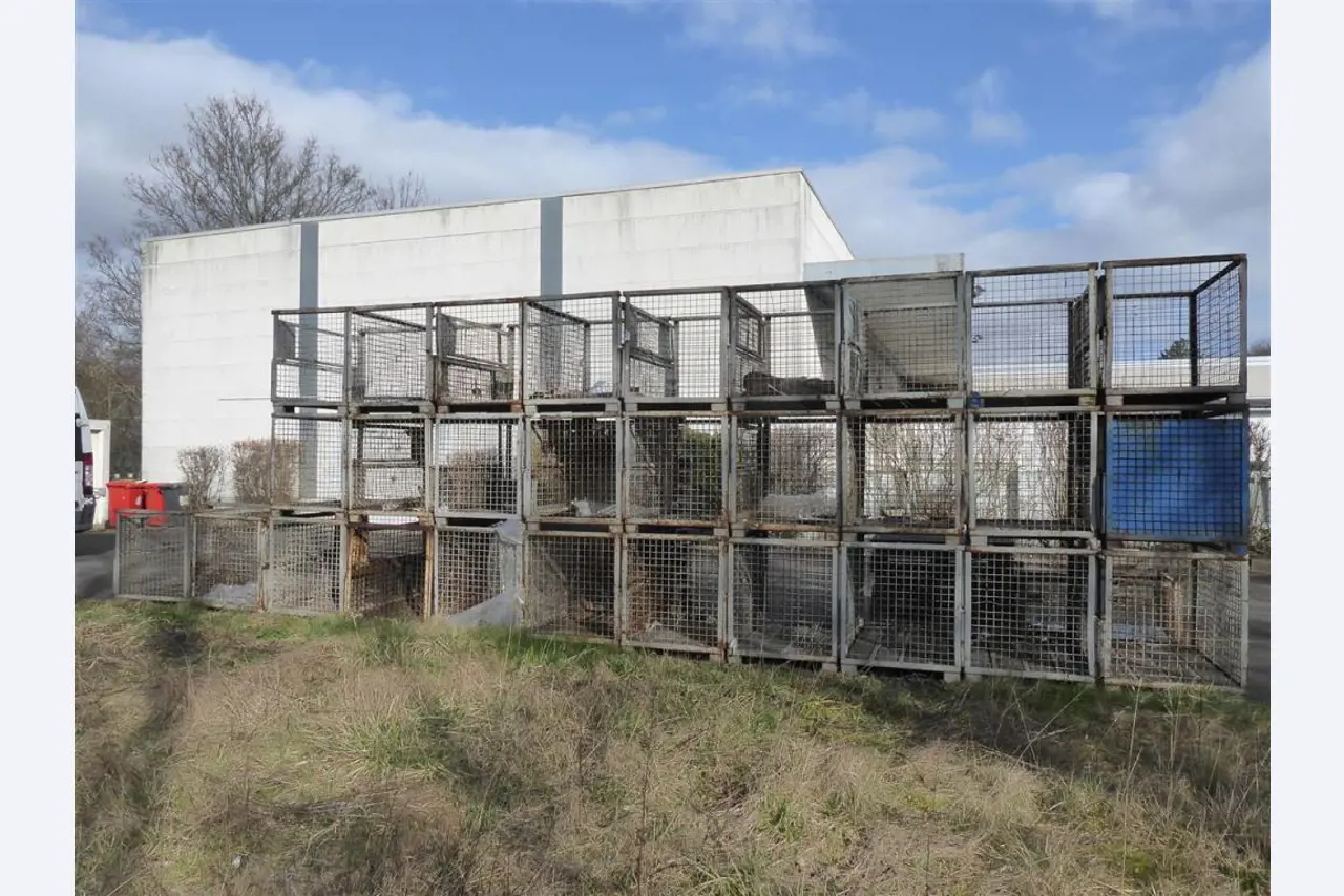 Druk ekspozytorów, produkcja ekspozytorów, dalsza obróbka opakowań kartonowych-1