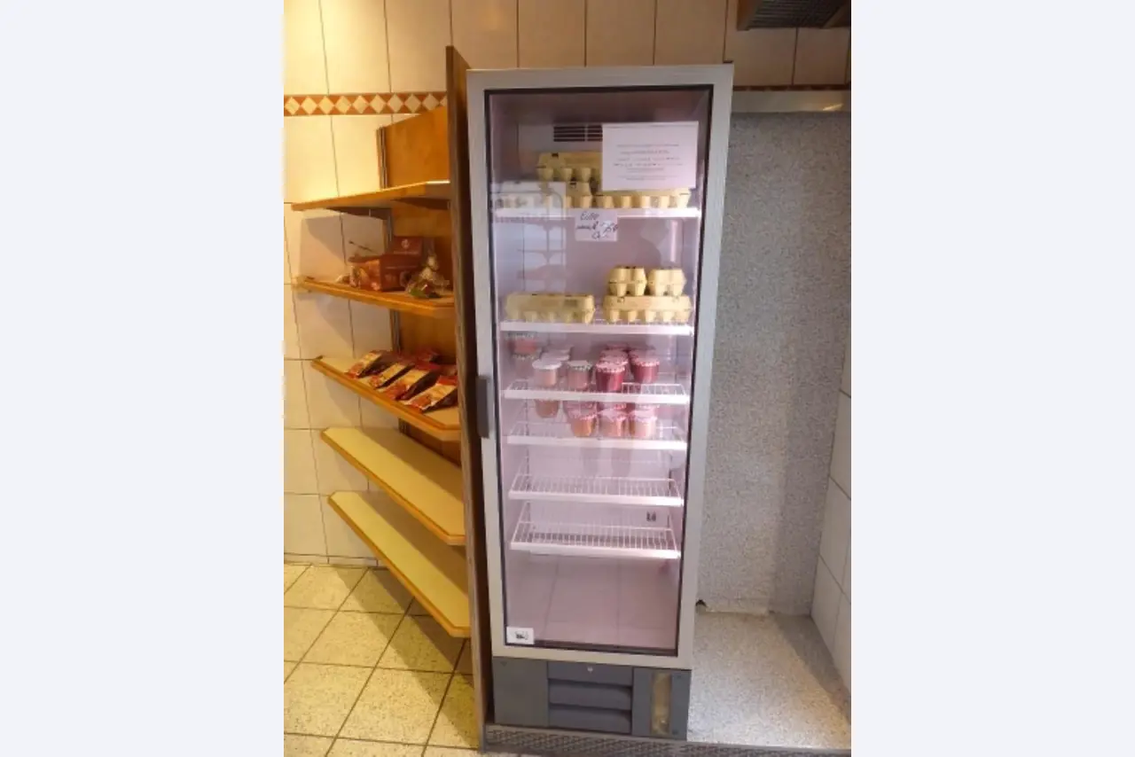 gepflegte Maschinen aus dem Bereich Metzgereibetrieb und Wurstherstellung -1