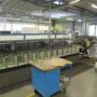 thumbnail-Offset printing, pre-press, finishing and cardboard production-2