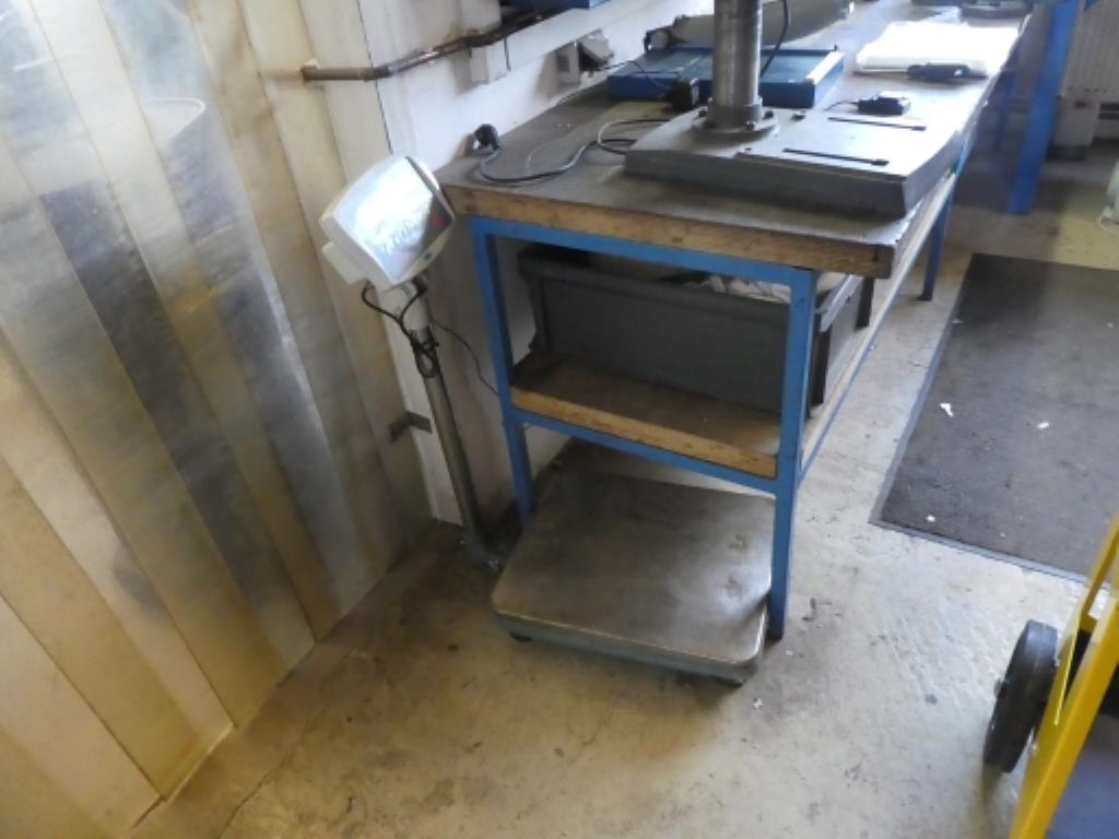 ca. 900 Richtsätze, Regale, Warenbestände und sonstige Anlagegüter-3