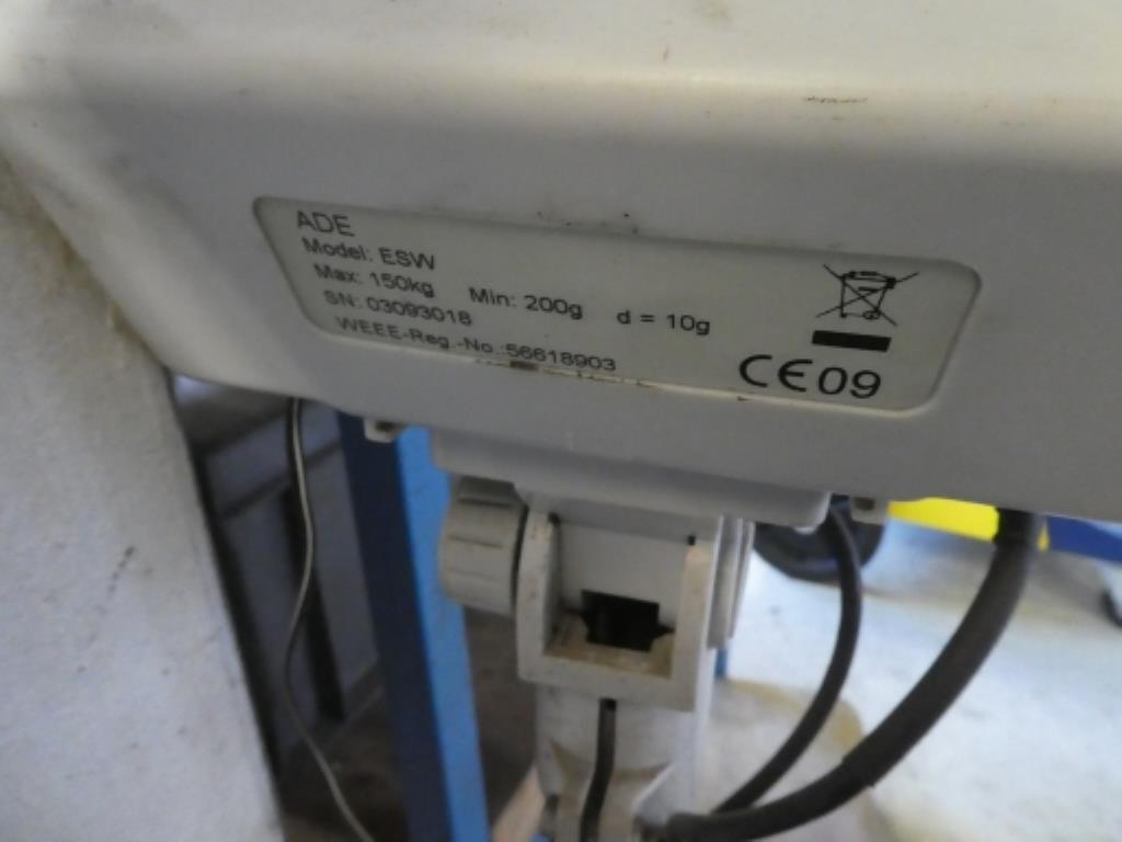 ca. 900 Richtsätze, Regale, Warenbestände und sonstige Anlagegüter-4