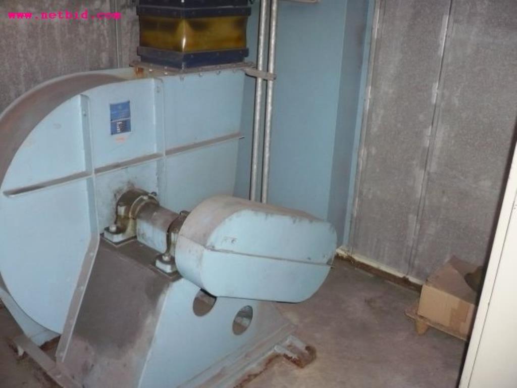 Linha de moldagem automática, HWS, HSP-2 D<br>
- preço extremamente reduzido --2