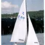 thumbnail-null-1