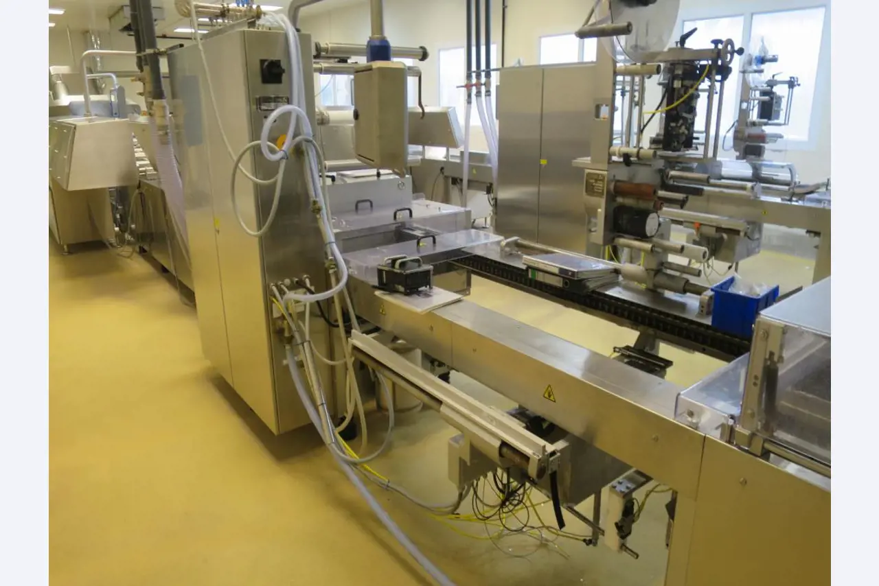 Máquinas bem conservadas para a produção de carnes salgadas/produtos de carne curados e carnes fumadas, máquinas de corte e de embalagem, equipamento de fábrica e de escritório-10