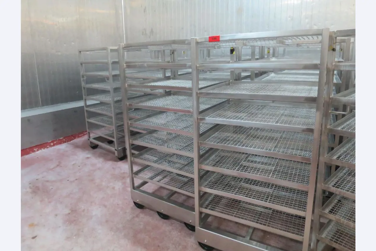 Máquinas bem conservadas para a produção de carnes salgadas/produtos de carne curados e carnes fumadas, máquinas de corte e de embalagem, equipamento de fábrica e de escritório-1