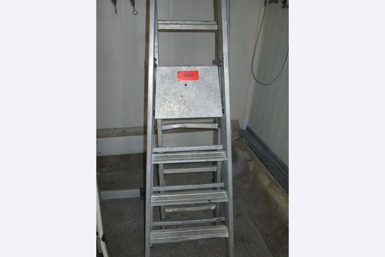 Dobrze utrzymane maszyny do produkcji solonego mięsa / wędlin i wędzonek, maszyny do cięcia i pakowania, wyposażenie fabryczne i biurowe.-1