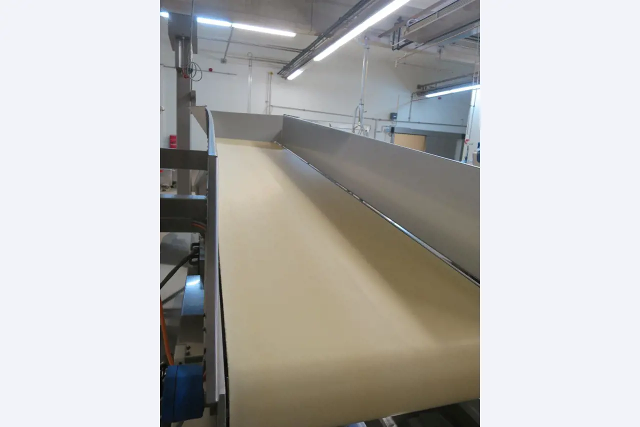 Máquinas bem conservadas para a produção de carnes salgadas/produtos de carne curados e carnes fumadas, máquinas de corte e de embalagem, equipamento de fábrica e de escritório-2