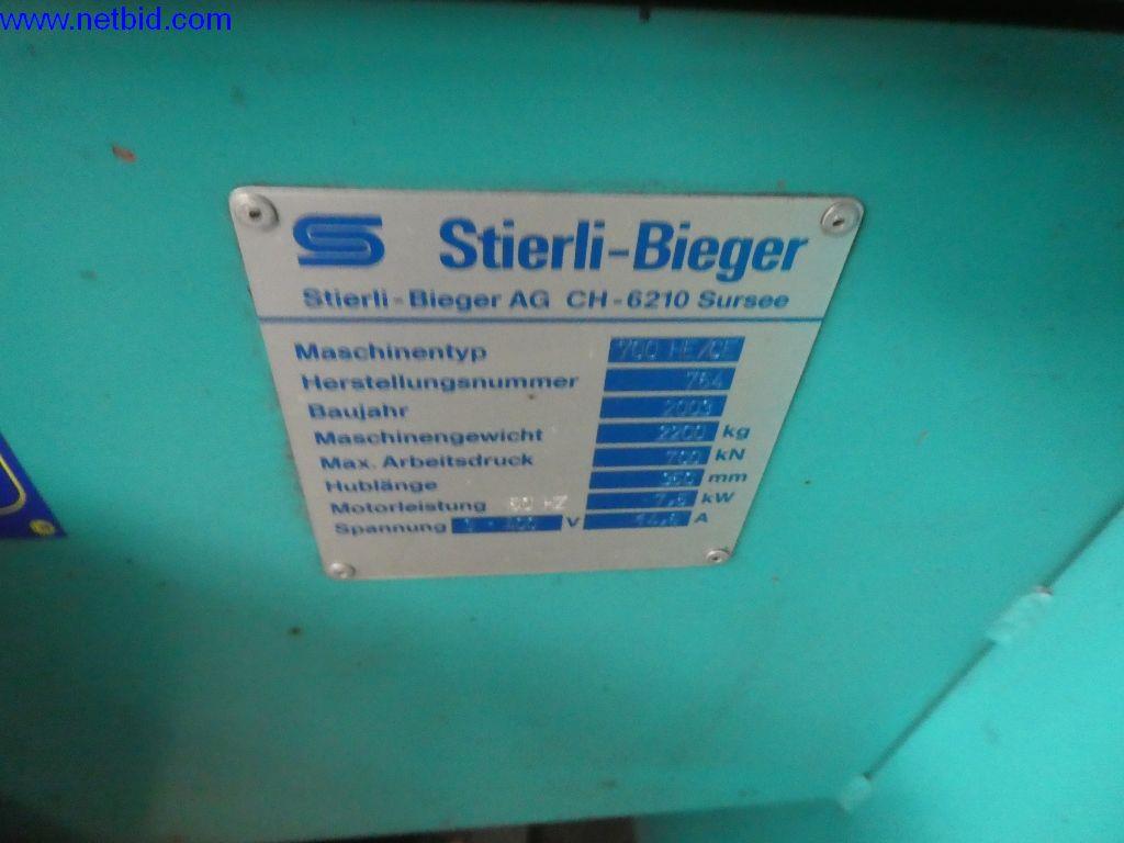 Betriebs- und Geschäftsausstattung (Stahl- und Metallbau)-4