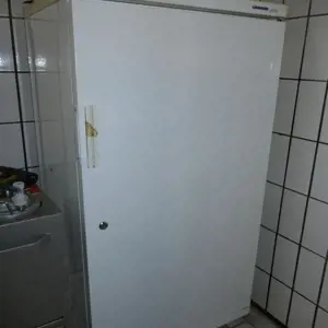 Stand-Kühlschrank Liebherr FKS5000 Profiline