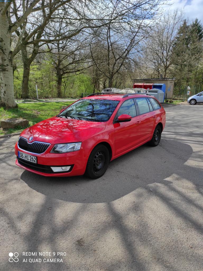 Equipamento operacional e de escritório (janelas e construção metálica)-2