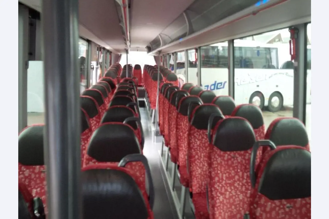 Gepflegte Linien- und Reisebusse, Bus-Transportanhänger, Betriebs- und Geschäftsausstattung-5