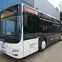 thumbnail-Gepflegte Linien- und Reisebusse, Bus-Transportanhänger, Betriebs- und Geschäftsausstattung-5