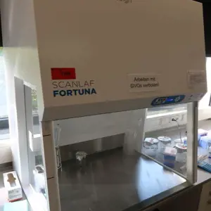 Campana de humos de laboratorio/banco de trabajo estéril Labogene Scanlaf Fortuna