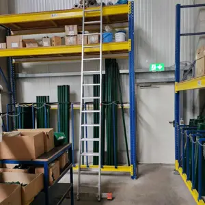 Verstelbare ladder Krause