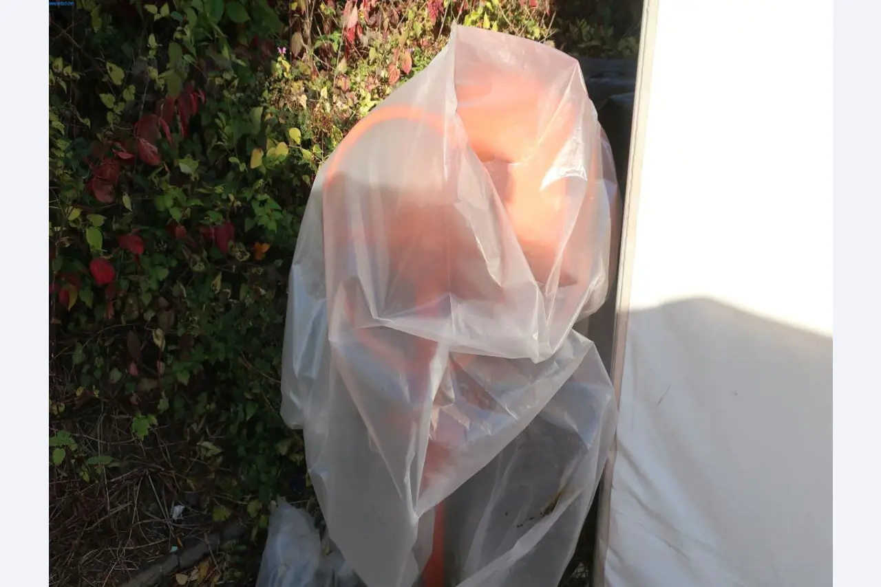 Máquinas y equipos técnicos en el ámbito del moldeo por inyección de plásticos (1600 - 23000 kN)-1