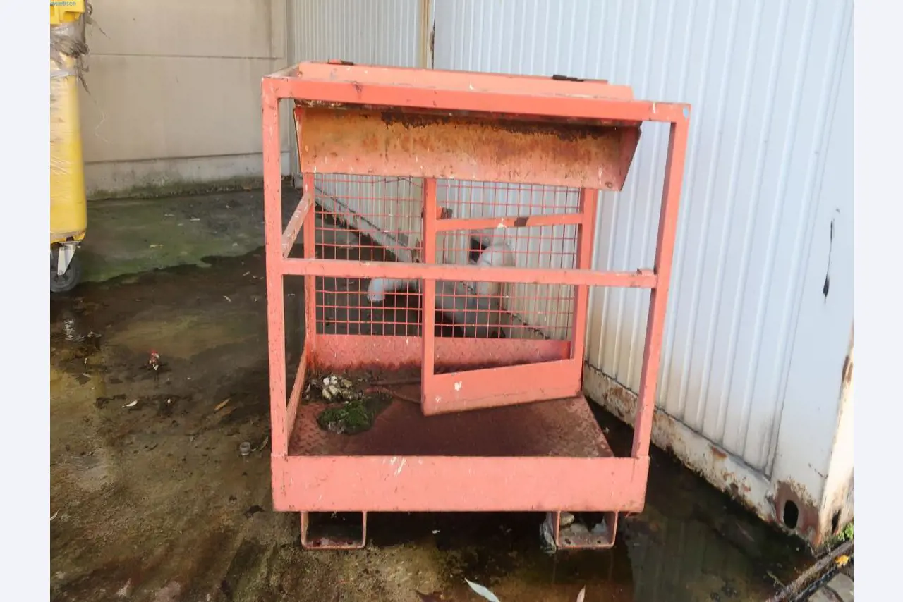 Máquinas y equipos técnicos en el ámbito del moldeo por inyección de plásticos (1600 - 23000 kN)-1