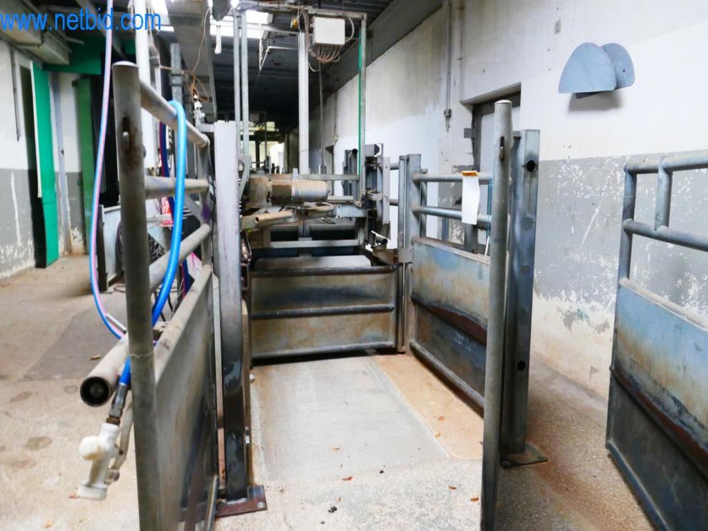 Estación de extracción de sangre de un matadero-5