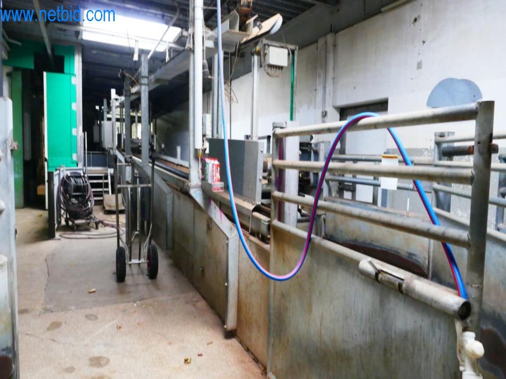 Estación de extracción de sangre de un matadero-6