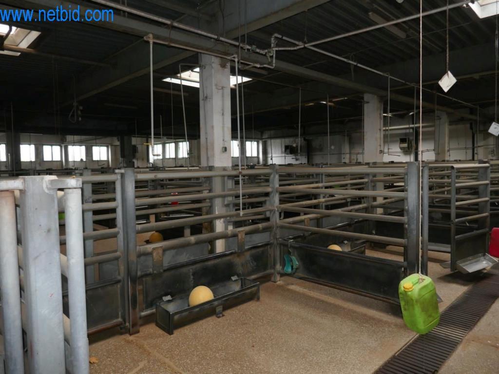 Estación de extracción de sangre de un matadero-10