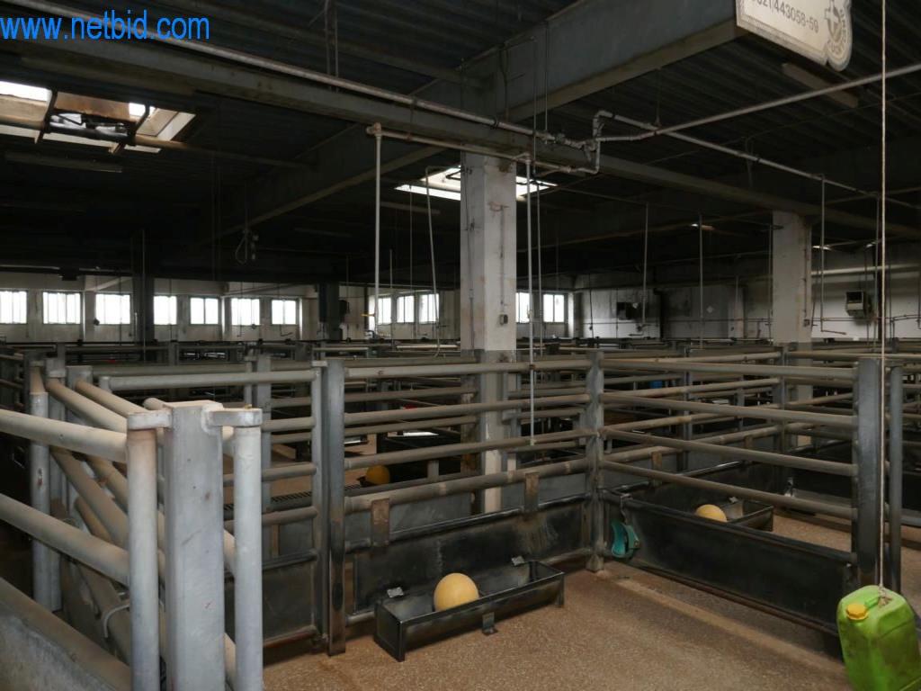 Estación de extracción de sangre de un matadero-11