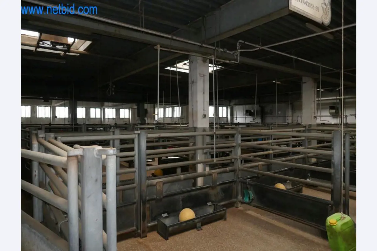 Blood collection station from a Slaughterhouse -11