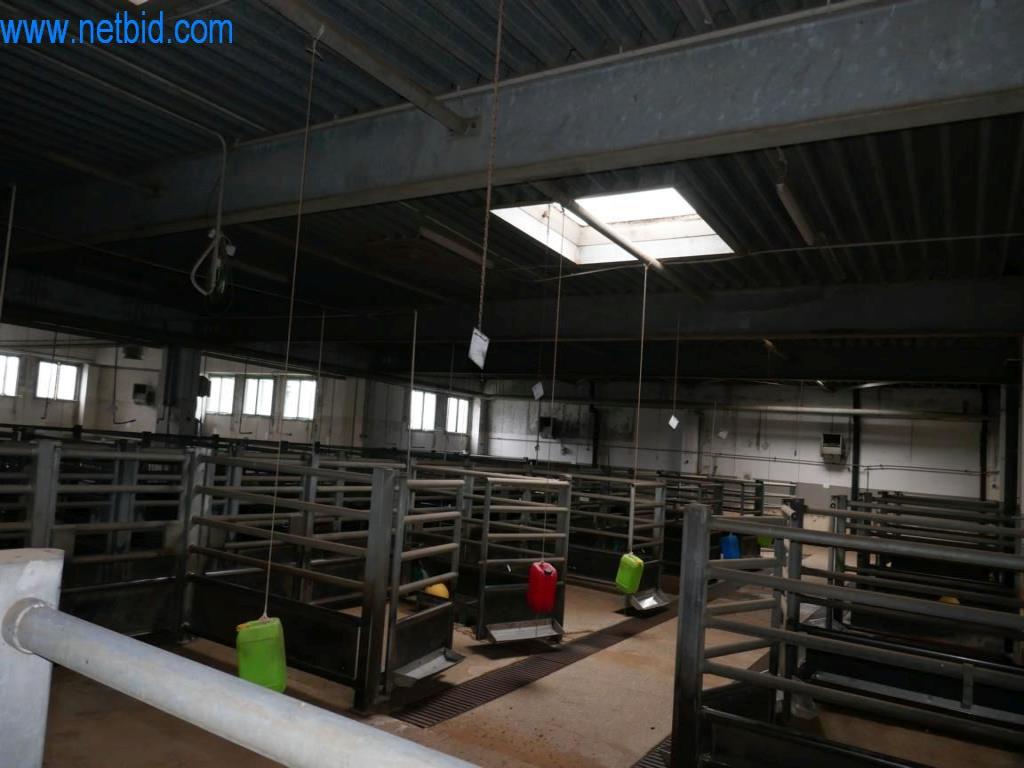 Estación de extracción de sangre de un matadero-12