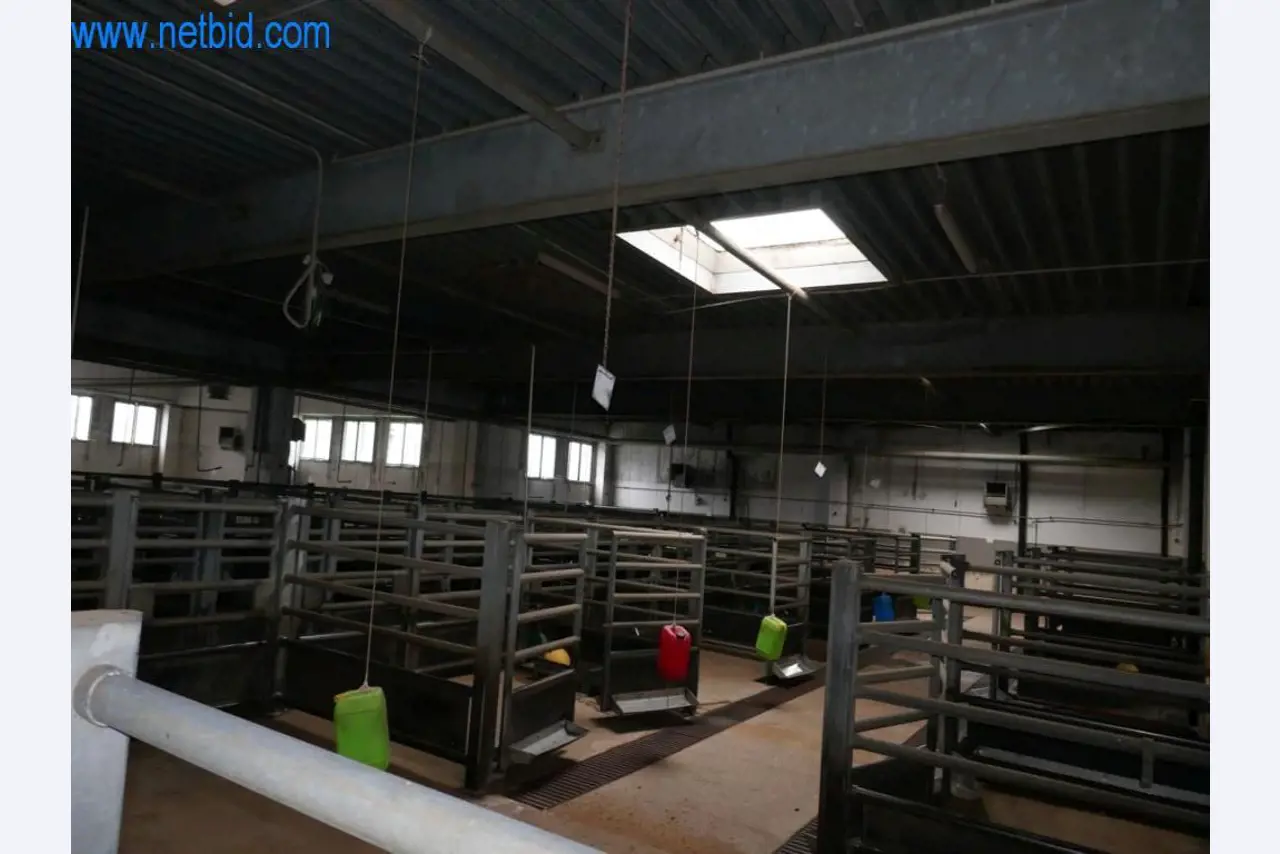 Blood collection station from a Slaughterhouse -12