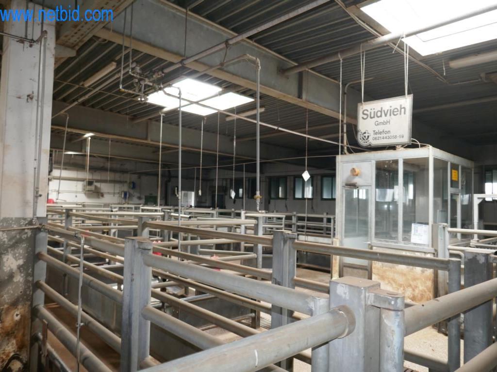 Estación de extracción de sangre de un matadero-13