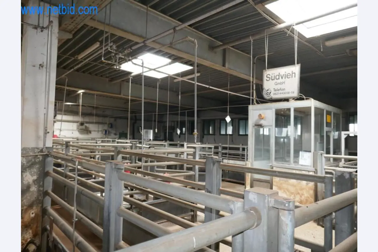 Blood collection station from a Slaughterhouse -13