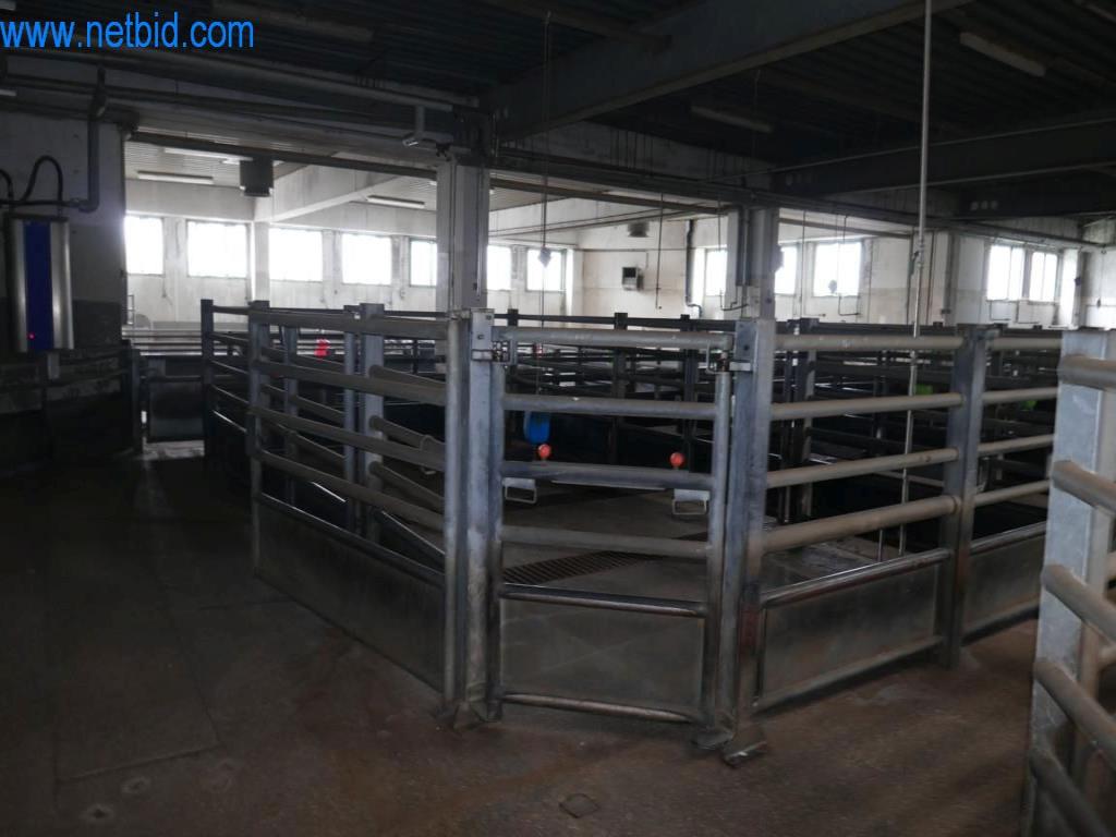 Estación de extracción de sangre de un matadero-14