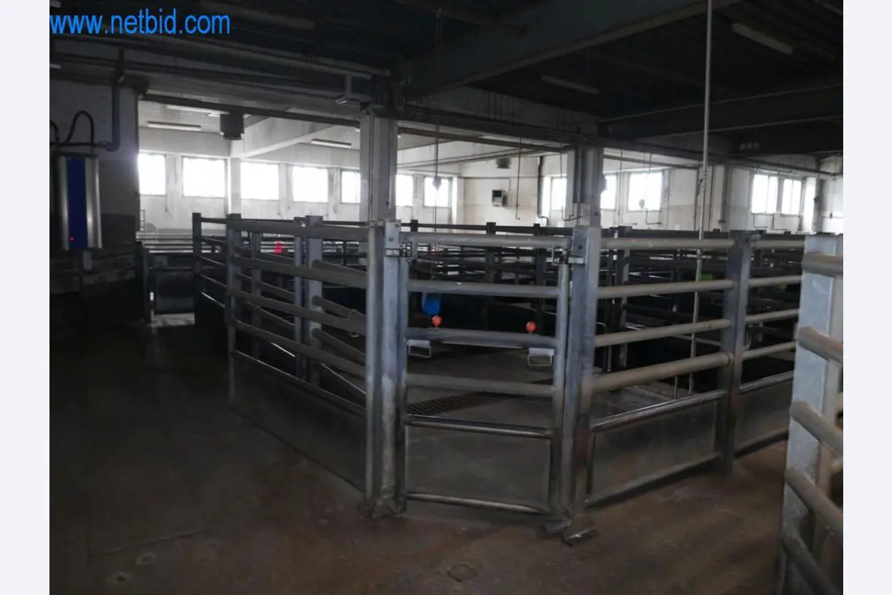 Blood collection station from a Slaughterhouse -14