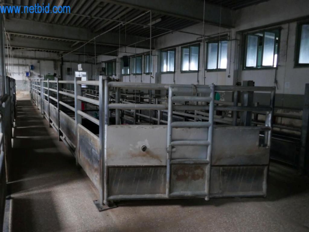 Estación de extracción de sangre de un matadero-2